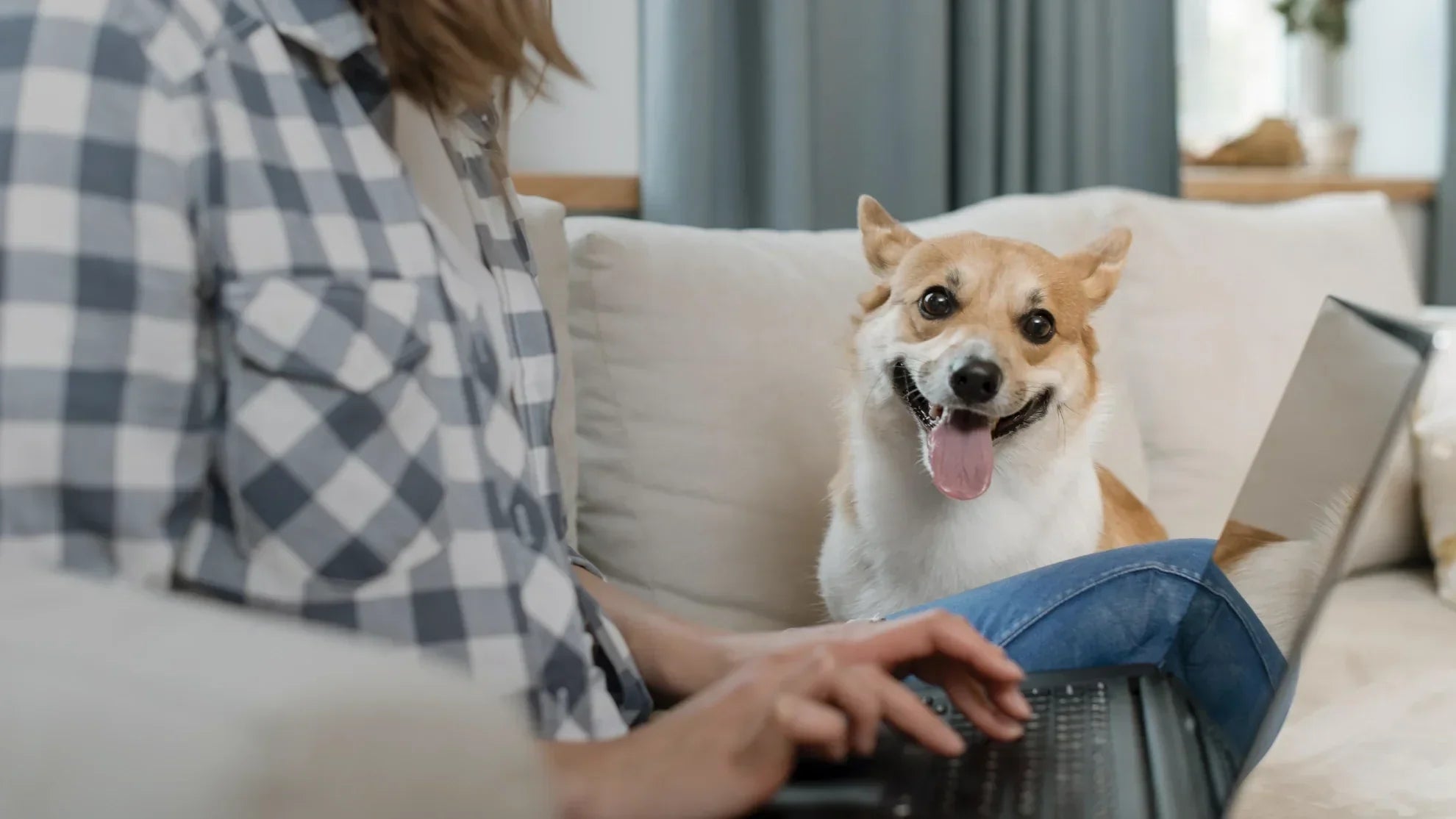 The Ugly Truth About Dog Treats: What Most Brands Don’t Want You to Know